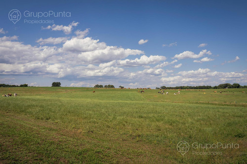 Campo En Venta - Rocha