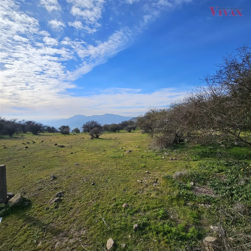 Sitio En Venta En Curicó