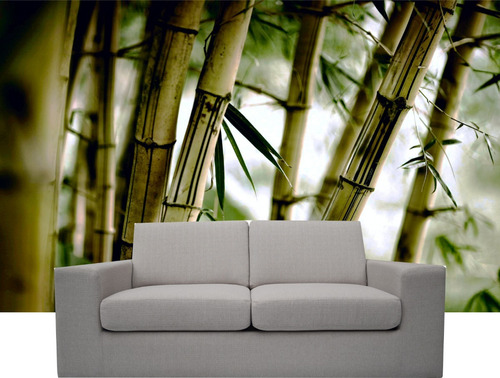 Vinilo Decorativo Fotomural Bambú 1mt Cuadrado