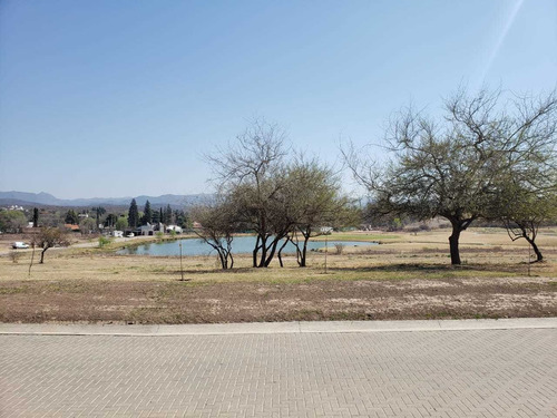 Imagen 4 de 13 de Terreno Venta El Terron Mendiolaza