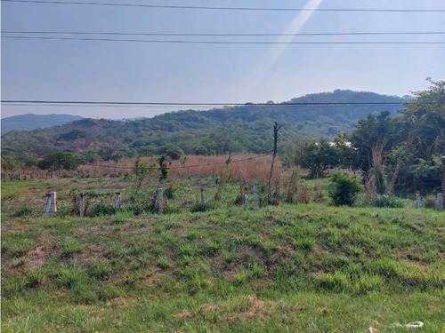 Magnifico Rancho A Orilla De Carretera En Tonalà