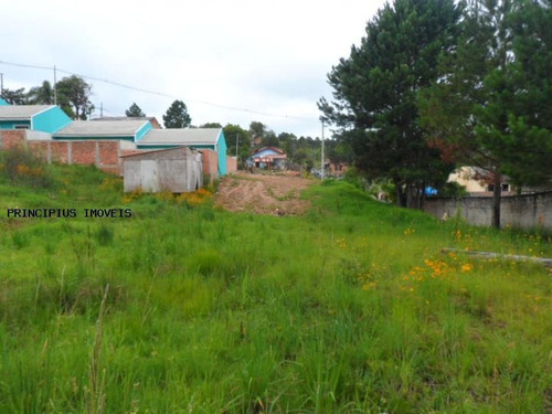Terreno Para Venda Em Colombo, Vila Florestal Grajau - 00112_2-400591