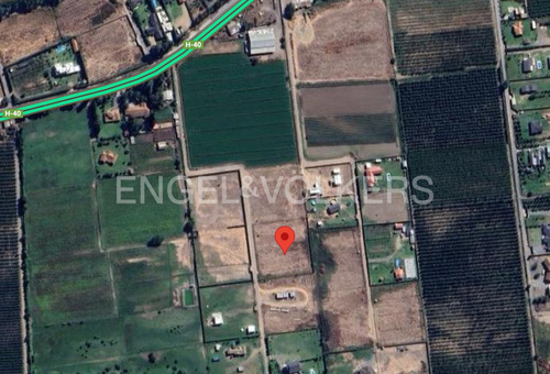 Sitio En Olivar