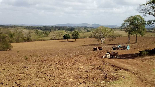 Imagen 19 de 30 de Finca En Mirimire Estado Falcon De 941 Hectáreas
