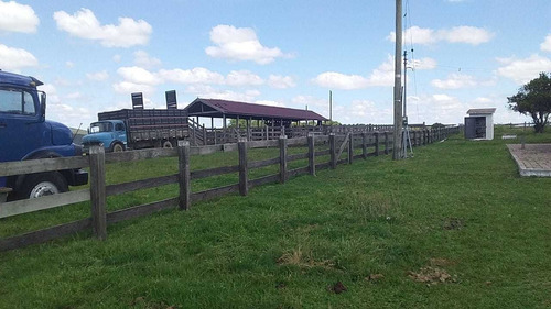 Imagem 4 de 5 de Fazenda Com 560 Hectares Para Lavoura E Pecuária Em Lavras