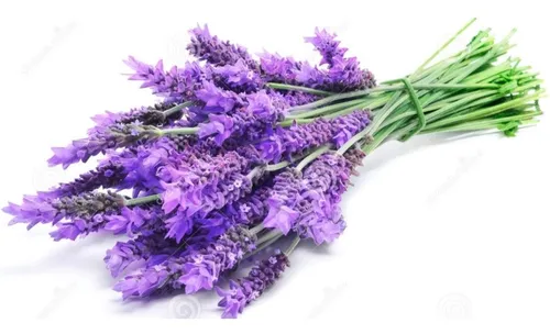 Flores Lavanda Organica Natural. 100g.