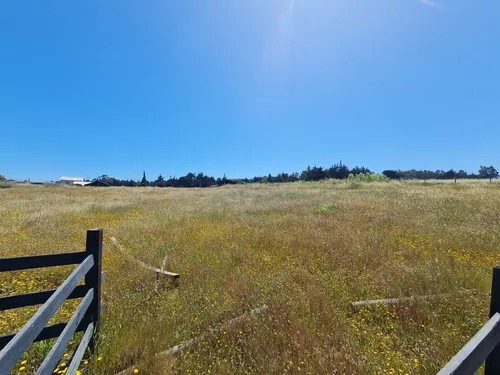 Sitio En Venta En Pichilemu