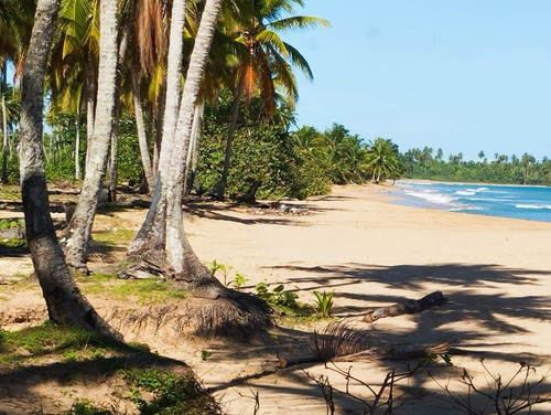 1ra Linea De Playa, El Limón, Samaná