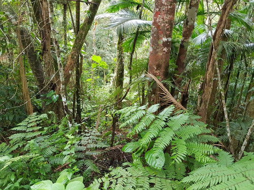 Imagem 1 de 4 de Área Próximo A Represa Ref 1292