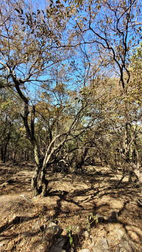 Venta De Terreno Campo En Las Sierras De Cordoba Unquillo Argentina
