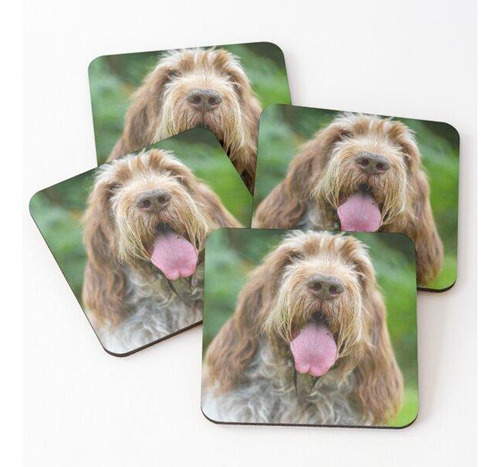Set Posavasos Spinone Jadeante Feliz Calidad Premium