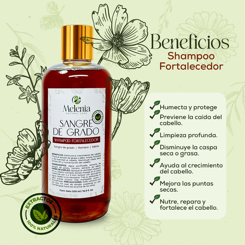 Shampoo Sangre De Grado Romero Y Sábila 500 Ml Natural