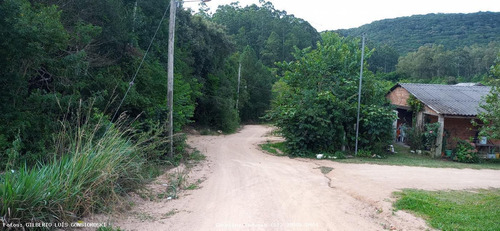 Imagem 4 de 15 de Terreno Para Venda Em Mariana Pimentel, Linha Alves - 1244_1-1843088