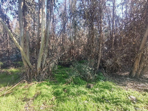 Terreno Construccion En Venta En Olivar