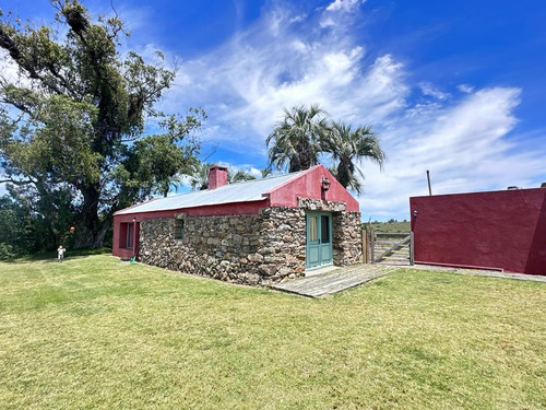 Maldonado Venta Chacra 38 Hectareas 50km De Punta Del Este