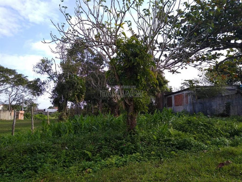 Imagem 2 de 3 de Terreno - Venda - Diplomata - Itanhaem - Ita3204