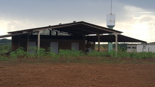 Imagem 5 de 14 de Vendo Terreno Escriturado 11.700m², Com Dois Galpões Grandes - Lotealexania