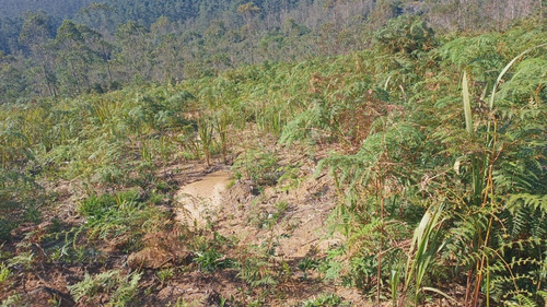 Imagem 13 de 25 de 01- Terrenos Em Condomínio Na Divisa De Suzano E Mogi Das Cruzes Com Procedência !