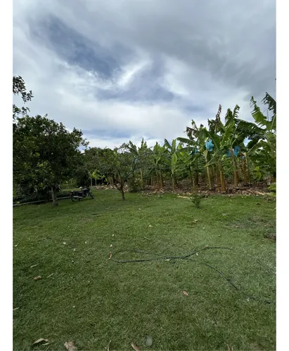 Se Vende Lote En Montenegro - Quindio