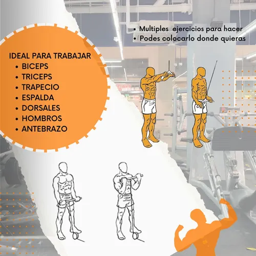 Dorsalera pared new arrivals