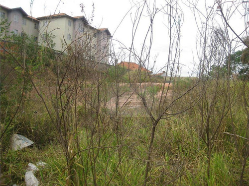 Imagem 4 de 5 de Terreno Comercial À Venda, 2296 M² - Capela - Vinhedo/sp - Te0474