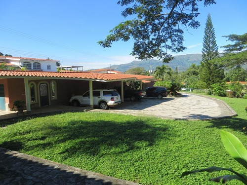 Imagen 4 de 20 de Parcela En Mini Fincas El Solar