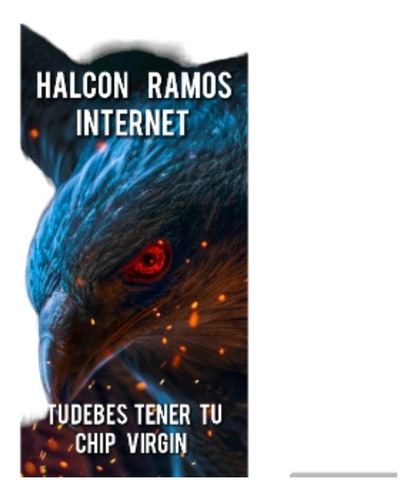 Internet Sin Limites (halcon Ramos) Virgin $39