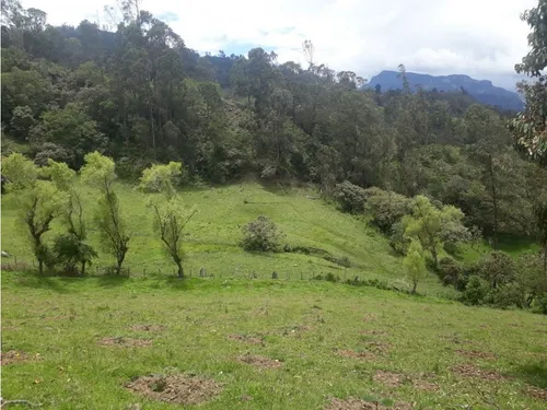 Vendo O Permuto Finca En Junin Cundinamarca
