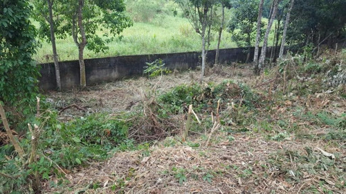 Terreno À Venda, 1300 M² Por R$ 540.000,00 - Caputera - Arujá/sp - Te0025