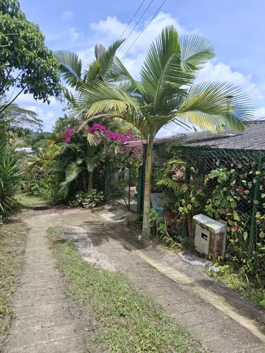 Pequeña Finca Bien Ubicada