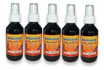 Comprar Kit 5 Tintas Renovadoras De Color Para Gamuza, Ante Y Nubuck