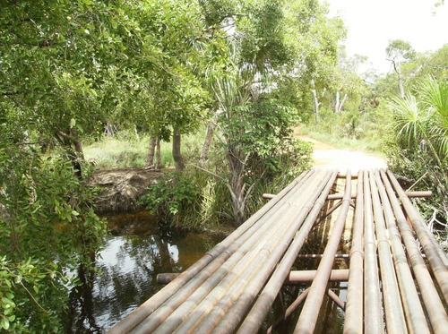 Imagen 11 de 12 de 350 Hectareas De Tierra Parmana Espino Morichales Y Pozos