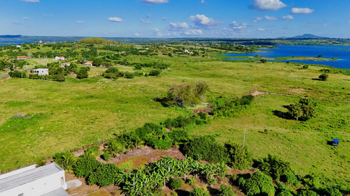 Fazenda Em Santo Estevão Bahia ( Arrendamento Ou Aluguel)