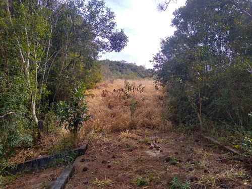 Imagem 13 de 14 de Terreno 5.600mts / Cond. Fechado / Ótima Localização !!!
