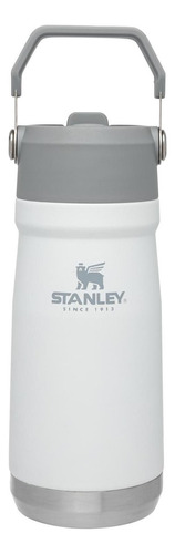 Botella Hidratacion Stanley con Bombilla Blanco | 500 ml