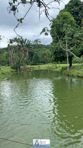 Imagem 5 de 16 de Chácara Em Parque Nossa Senhora Da Ajuda, Guapimirim/rj De 200000000m² 3 Quartos À Venda Por R$ 560.000,00 - Ch2162737-s