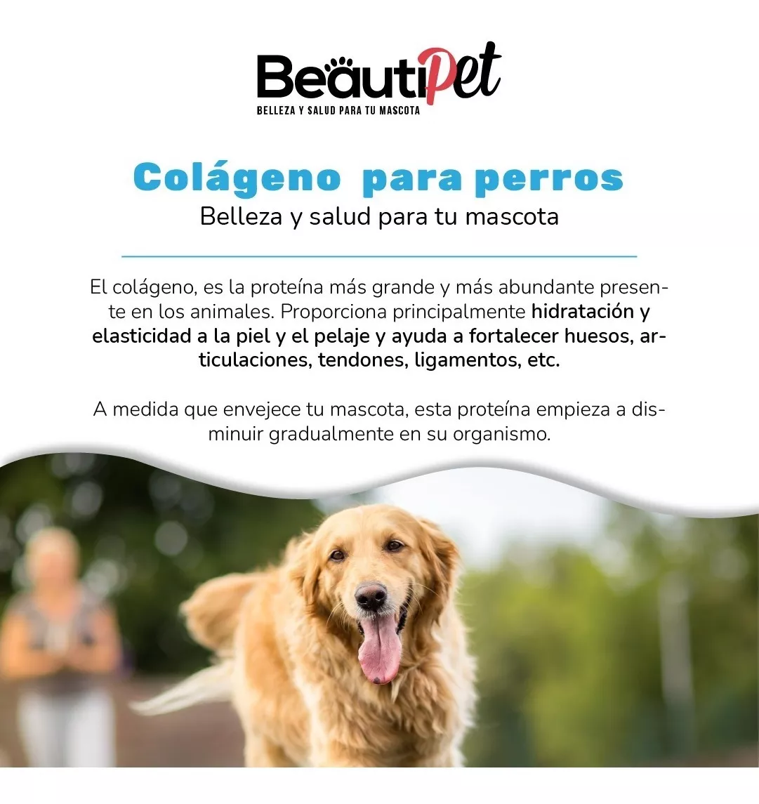 Tercera imagen para búsqueda de colageno para perros