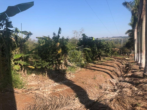 Imagem 3 de 25 de Chácara Com 3 Dormitórios À Venda, 31000 M² Por R$ 850.000,00 - Agua Das Flores - Jataizinho/pr - Ch0032
