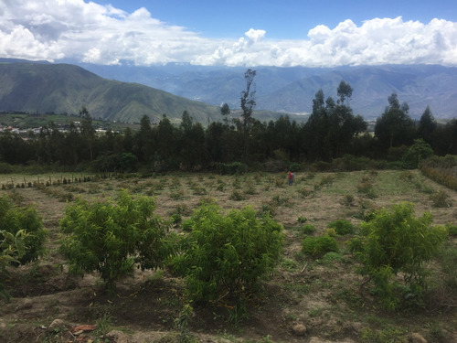 Imagen 8 de 12 de Vendo Terreno En Mira Carchi 4000 Metros