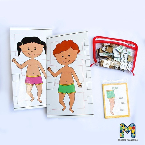 Cartas Pictogramas Cuerpo Humano