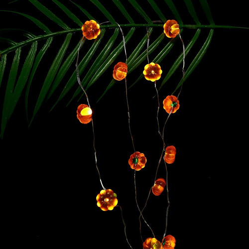 Serie Mini Calabazas Halloween Día Muertos 20 Luces Led 2 Mt