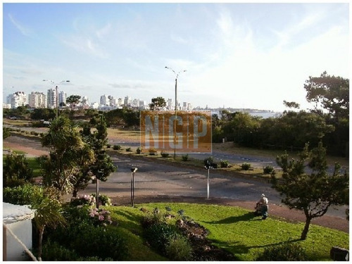 Oportunidad Única -ref:5266