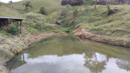 Imagem 3 de 11 de Sitio Para Venda Em São Bento Do Sapucaí - St-744