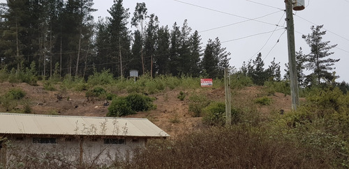 Imagen 2 de 30 de Oferta Terreno En Laguna Torca Lago Vichuquén