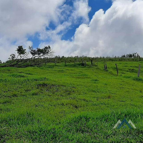 Imagem 1 de 17 de Sítio À Venda, 240000 M² Por R$ 700.000,00 - Centro - Sapopema/pr - Si0011