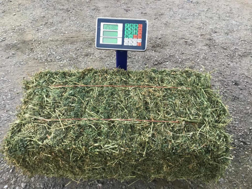Imagen 3 de 9 de Fardos Alfalfa Cuadrados 1ra