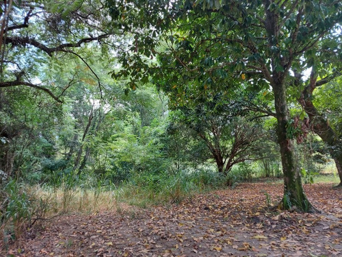 Imagem 11 de 24 de Terreno Em Caxito, Maricá/rj De 1060m² À Venda Por R$ 150.000,00 - Te2148374-s