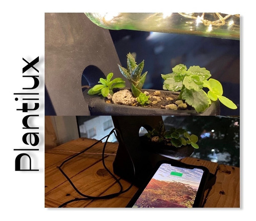 Luz Led Buro Usb Maceta Madera Botella Plantas Suculentas (Usado)