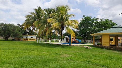 Imagen 9 de 19 de En Venta Finca En El Encanto, Via La Arenosa, Tocuyito