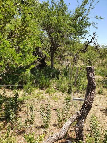 Lote En Cortaderas San Luis